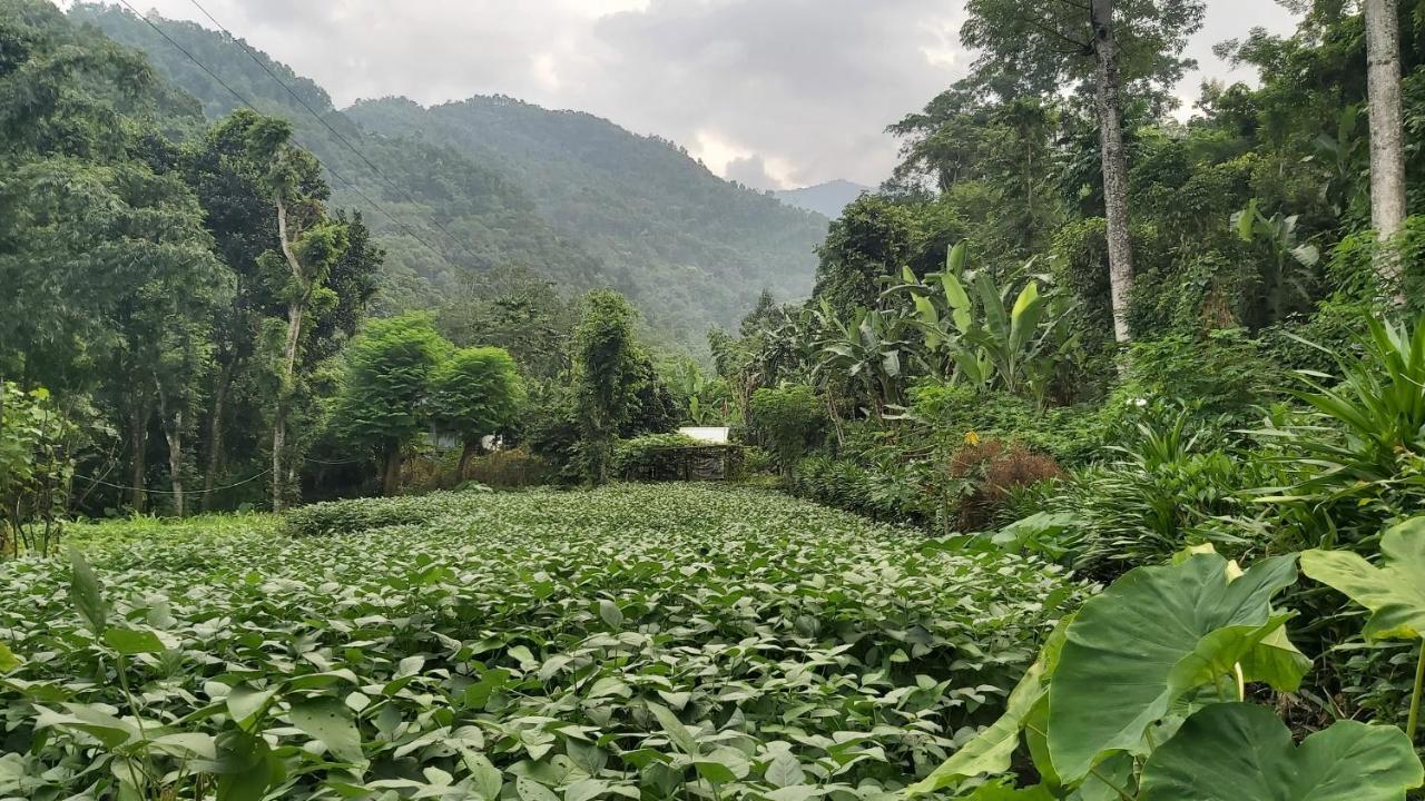 Eviana Homestay Darjeeling  Eksteriør billede