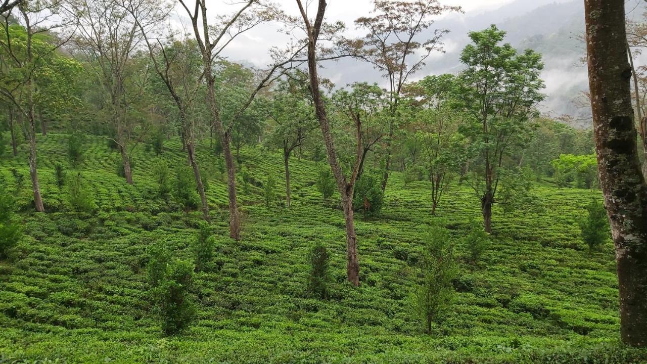 Eviana Homestay Darjeeling  Eksteriør billede