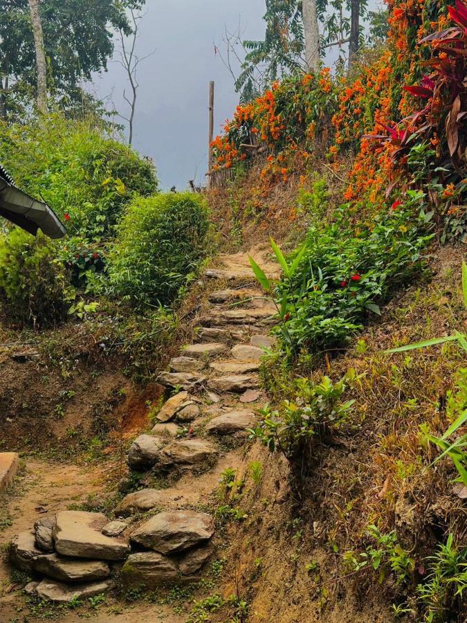 Eviana Homestay Darjeeling  Eksteriør billede