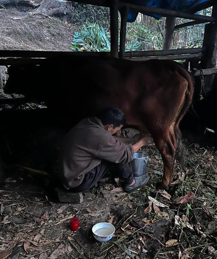 Eviana Homestay Darjeeling  Eksteriør billede