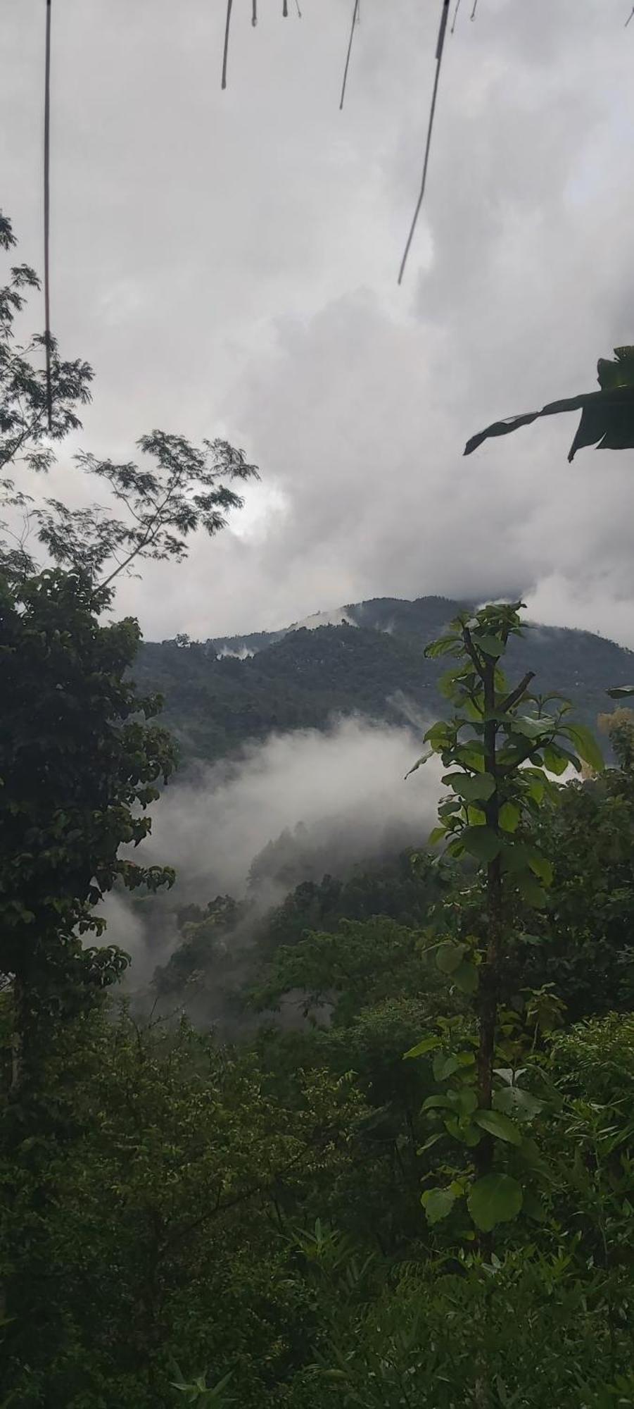 Eviana Homestay Darjeeling  Eksteriør billede